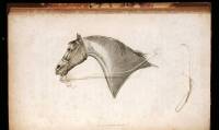 An Analysis of Horsemanship; Teaching the Whole Art of Riding, in the Manege, Military, Hunting, Racing and Travelling System. Together with the Method of Breaking Horses for Every Purpose to which those Noble Animals are Adapted