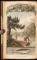 The Annals of Sporting and Fancy Gazette