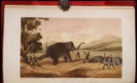 The Rifle and the Hound in Ceylon