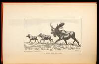 Moose Hunting in Alaska, Wyoming, and Yukon Territory