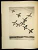 Roland Clark's Etchings