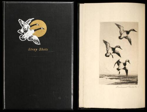 Stray Shots