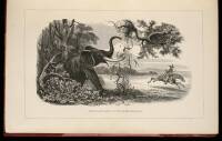 Five Years of a Hunter's Life in the Far Interior of South Africa. With Notices of the Native Tribes, and Anecdotes of the Chase of the Lion, Elephant, Hippopotamus, Giraffe, Rhinoceros, &c.