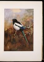 The Birds of California: A Complete, Scientific and Popular Account of the 580 Species and Subspecies of Birds Found in the State