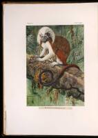 A Review of the Primates - 3 vols.