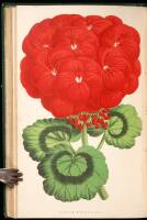 The Floral World and Garden Guide