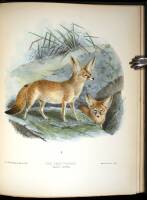 Dogs, Jackals, Wolves, and Foxes: A Monograph of the Canidae