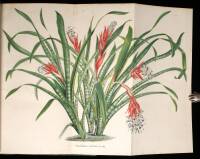 La Belgique Horticole