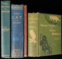 Lot of 4 volumes on mammals