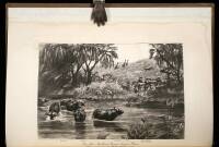 Life Histories of African Game Animals