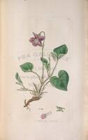 English Botany; Or, Coloured Figures of British Plants...