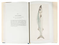 Forty Drawings of Fishes made by Artists who accompanied Captain James Cook on his Three Voyages to the Pacific