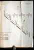 An Elucidation of Regulations for the Formations and Movements of Cavalry