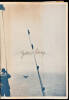 Tales of Swordfish and Tuna