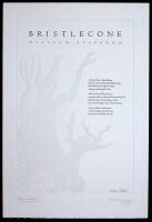 Poetry-Art Broadside Series I