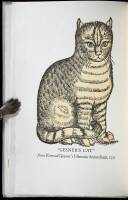 One Hundred & Sixty Cat Proverbs & Proverbial Similes