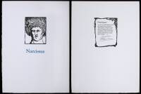 Narcissus